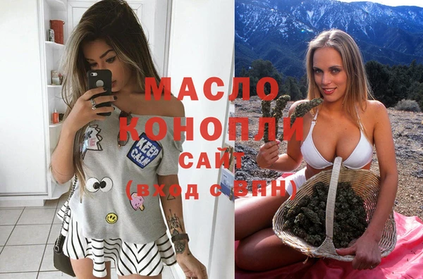индика Армянск