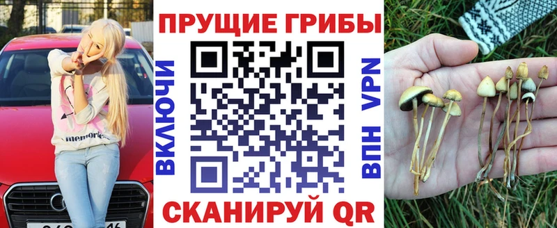 продажа наркотиков  Венёв  сайты даркнета состав  Галлюциногенные грибы Cubensis 
